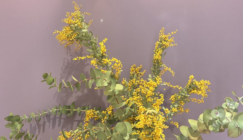 3月お休みのお知らせ